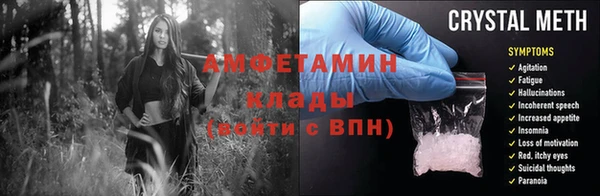 прущие грибы Приозерск