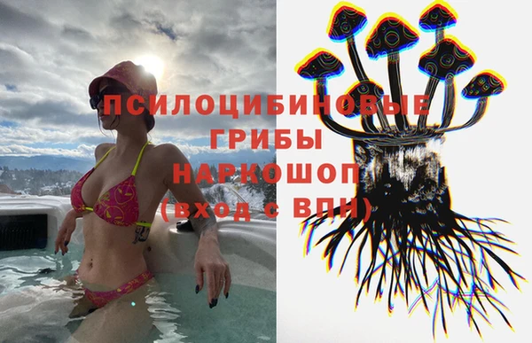 прущие крисы Пролетарск