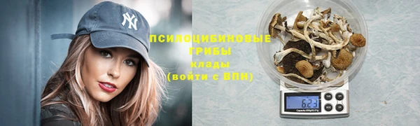 прущие грибы Приозерск