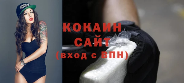 прущие грибы Приозерск