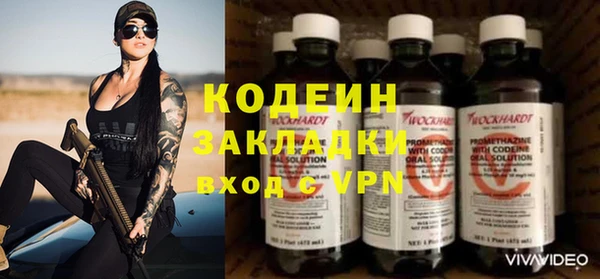 прущие грибы Приозерск