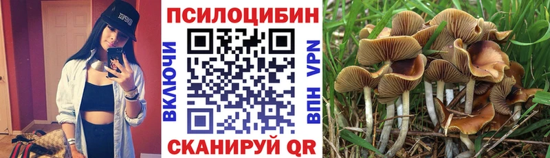 Псилоцибиновые грибы MAGIC MUSHROOMS  цены   Елец 